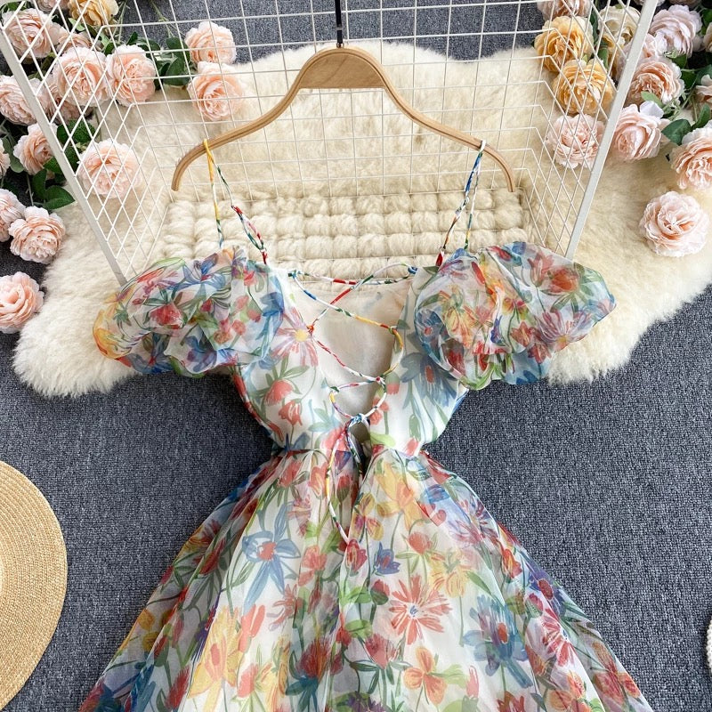 Floriana Fairycore Princess Dress