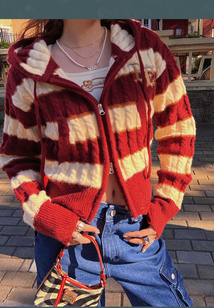 Shayla Stripe Contrast Color Knitted Hooded Zip Up Sweater