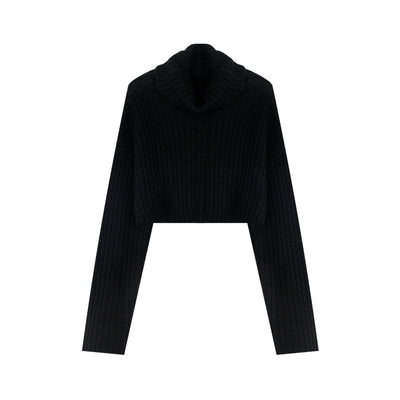 Izabella Ribbed Knitted Turtleneck Long Sleeve Cropped Sweater