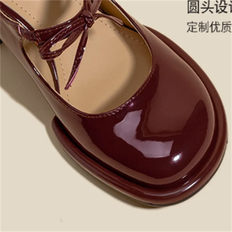 Picsgirl  -  2024 Spring Women Mary Jane Shoes Fashion Shallow Buckle Ladies Elegant High Heel Shoes Street Style Women's Pumps