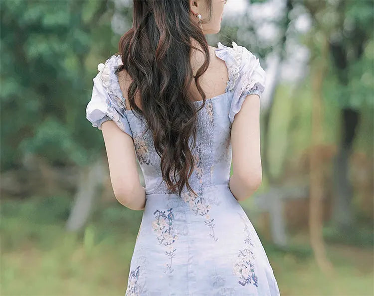 Betsy Blue Romantic Cottage Fairy Dress