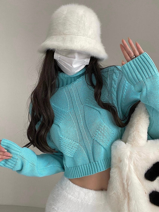 Londyn Solid Color Knitted Long Sleeve Turtleneck Cropped Sweater